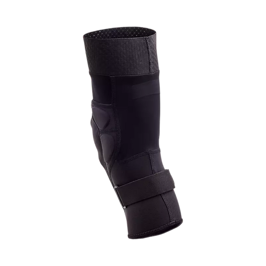 Fox -Start D3O 2024 Knreifer