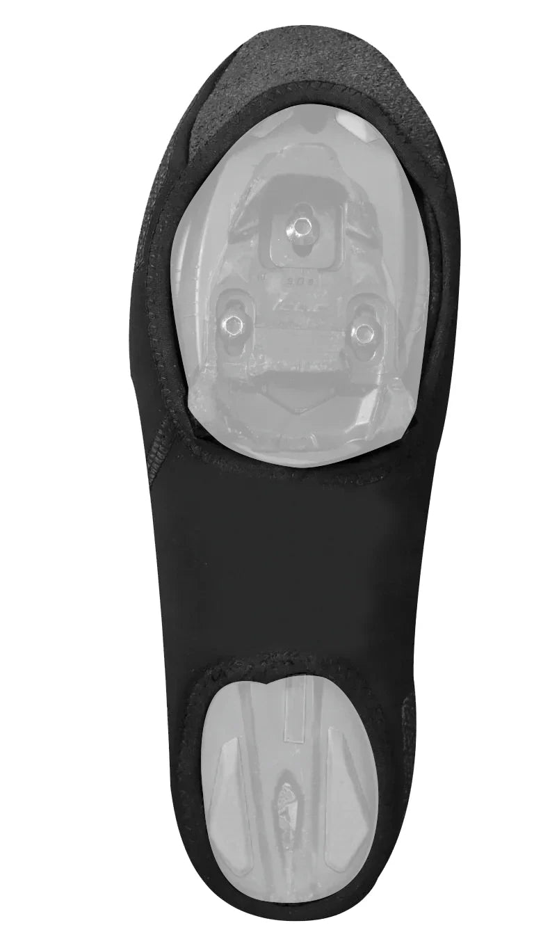 GIST - Copricarpa Inside - road