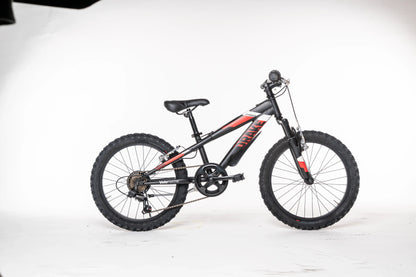 Velomarche Drake 20 "