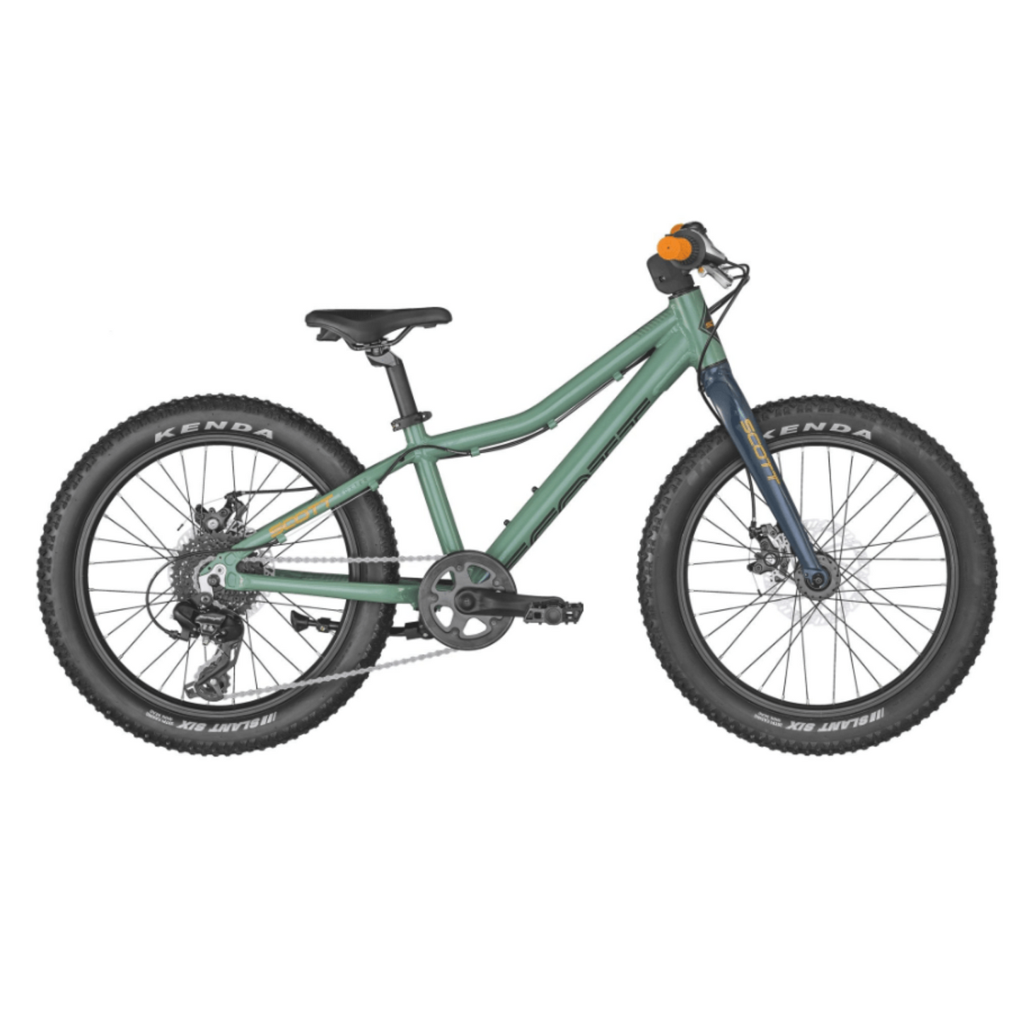 Scott Roxter 20" Green