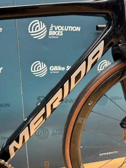 Merida-Skulptur, Größe 6000 S - Gebraucht