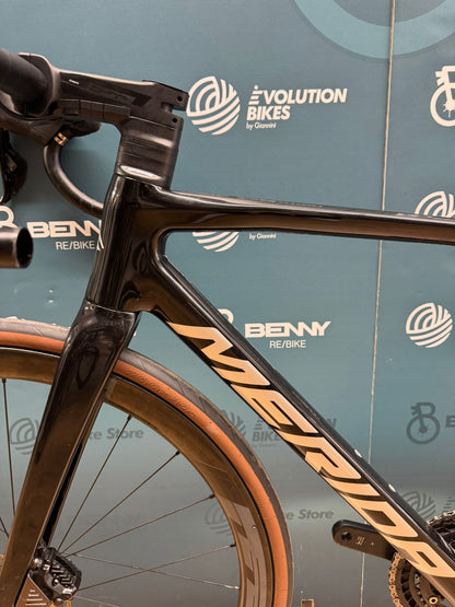 Merida-Skulptur, Größe 6000 S - Gebraucht