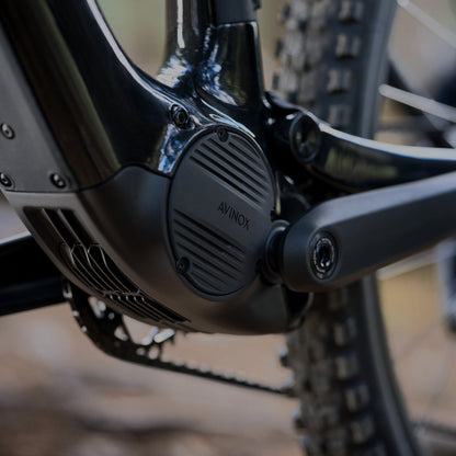 AMFLOW PL Carbon (800wh)