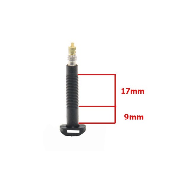 Coppia Di Valvole Presta Tubeless In Carbonio - 35mm