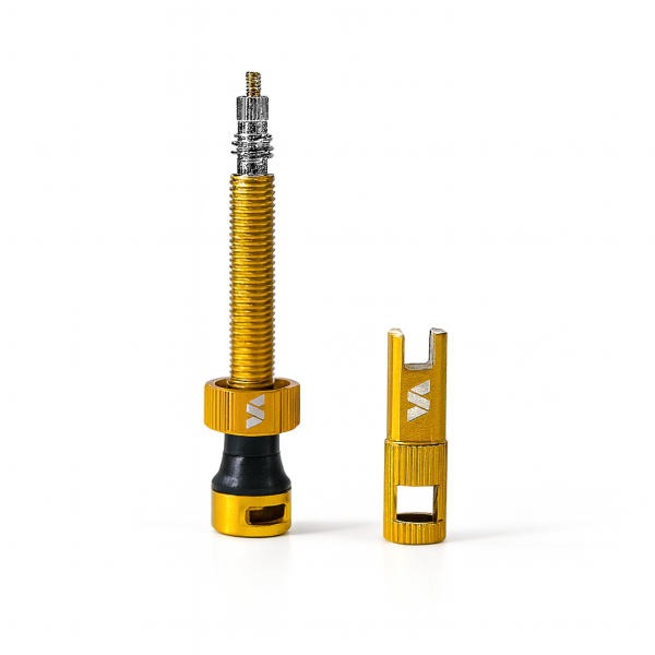 Valvole Tubeless Switch AirLock Plus Core+Spoke WR (1cp)